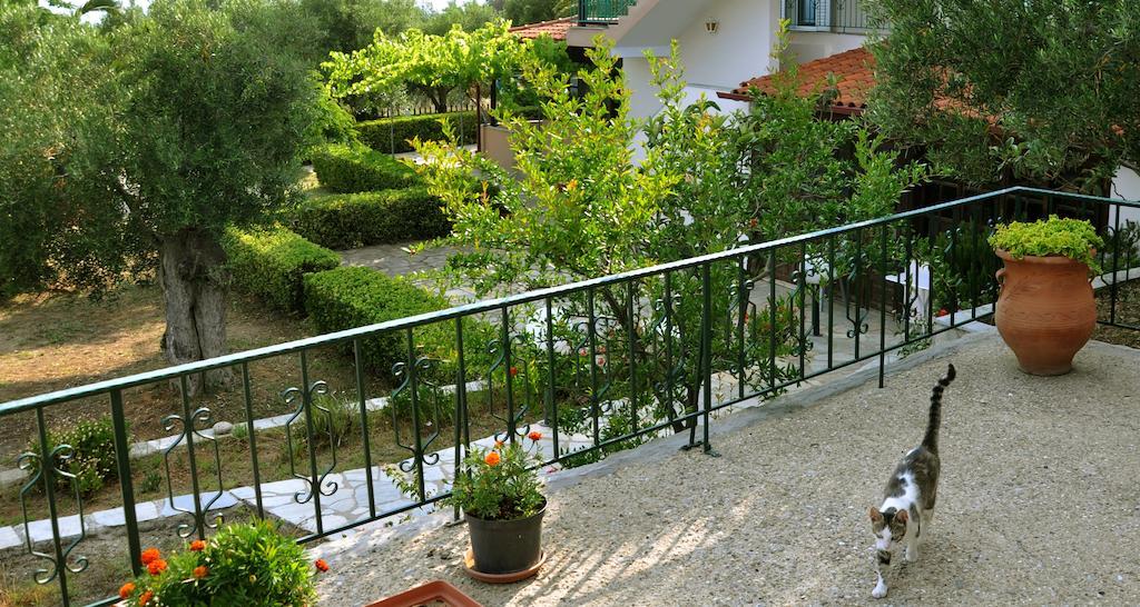 Aris Pension อาเกีย ปาราสเควิ ภายนอก รูปภาพ